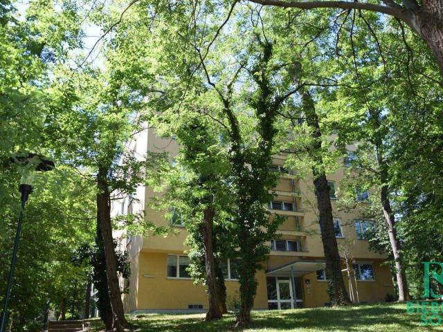 Sonnige 2 Zimmerwohnung in Parkanlage inkl. Privatparkplatz Ruhelage