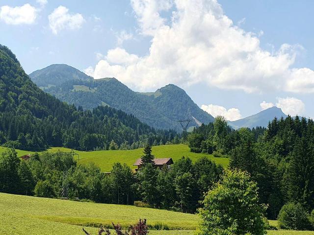 ☀️ Sonnige 3 Zimmer Dachgeschosswohnung mit Südbalkon, Bergblick, Kamin & Tiefgarage in Fieberbrunn