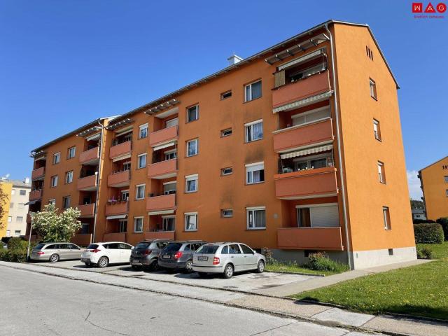 Sonnige 3 Zimmerwohnung im Erdgeschoß / Hochparterre!