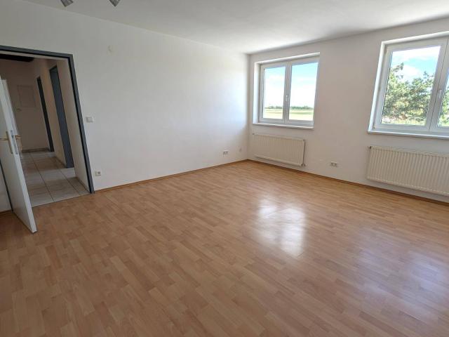 Sonnige 3 Zimmerwohnung mit zentralem Vorraum