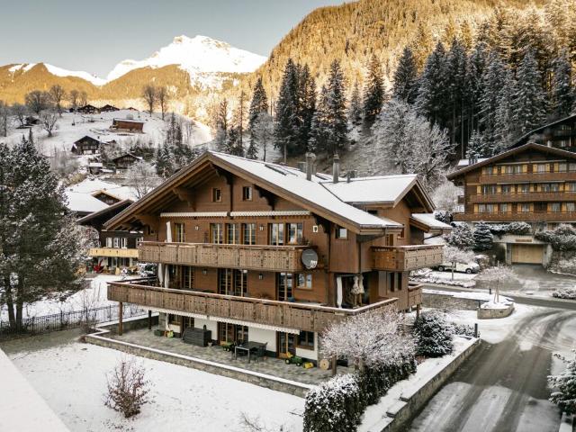 Sonnige 4.5 Zimmerwohnung, Chalet Silberblume