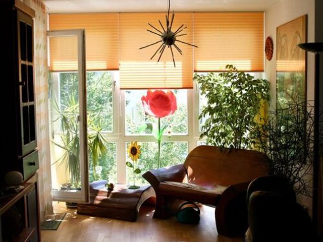 Sonnige 4,5 Zimmer Terrassenwohnung in Hochdorf
