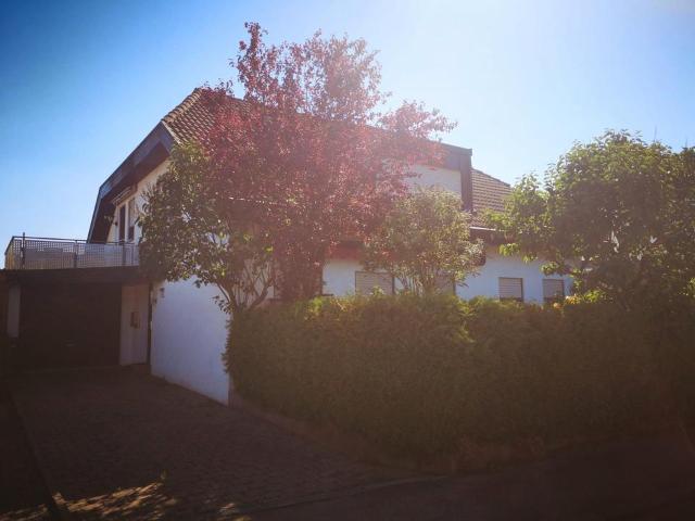 Sonnige 4 Zimmer Wohnung mit großer Terrasse in Cr Altenmünster