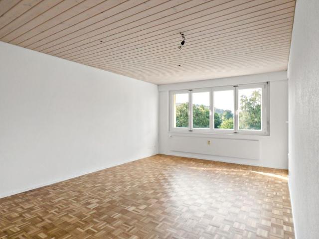 Sonniges Wohnglück in Fislisbach