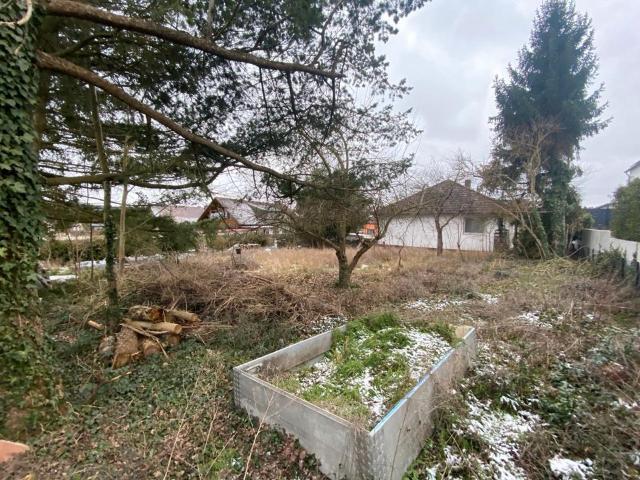 Sonniges Grundstück mit Bungalow und Pool in ruhiger Lage