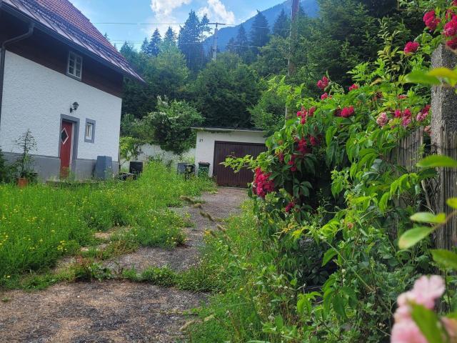 Sonniges Grundstück mit Sanierungsobjekt in Kärntner Alpen & Seenregion