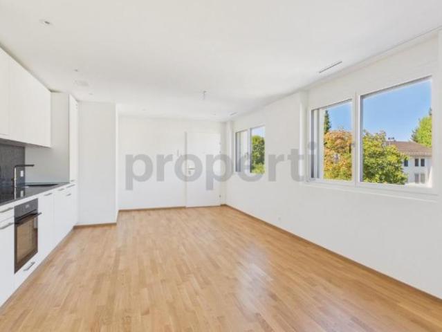Sonniger Balkon, Minergie Standard, Lift & Perfekte ÖV Anbindung!