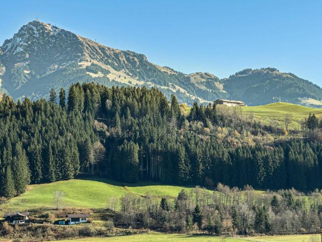 Sonniger Rückzugsort am Waldrand des Astberges 06555