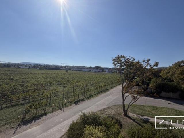 Sonniger Rückzugsort in Perchtoldsdorf mit Grünblick | ZELLMANN IMMOBILIEN