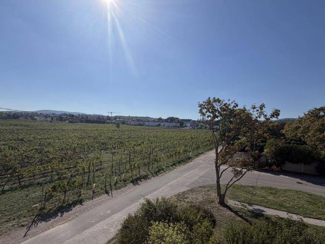 Sonniger Rückzugsort in Perchtoldsdorf mit Grünblick | ZELLMANN IMMOBILIEN