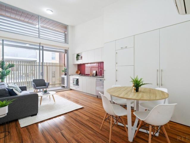 Soaring Ceilings and Sunlit North Facing Living