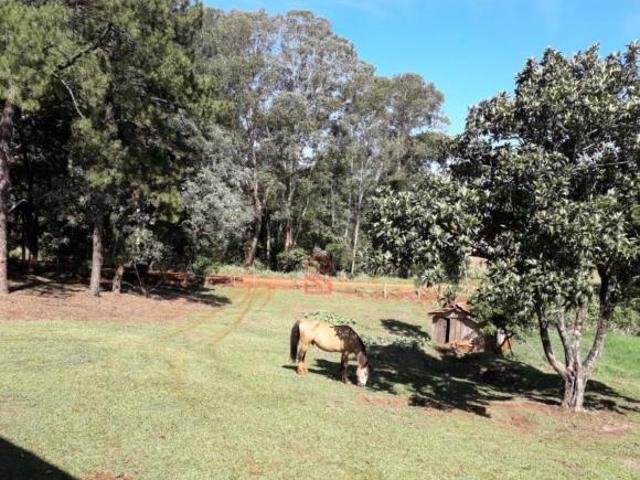 Sobiech Imóveis 041 99977 4514 Vende Sítio em Ivaiporã PR: 72.600m² Estrada Rio da Bulha