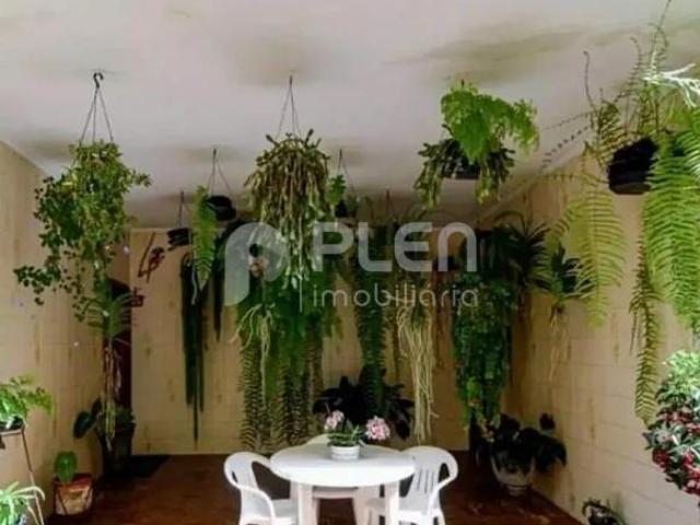 Sobrado à venda, Jardim São Bento, São Paulo, SP