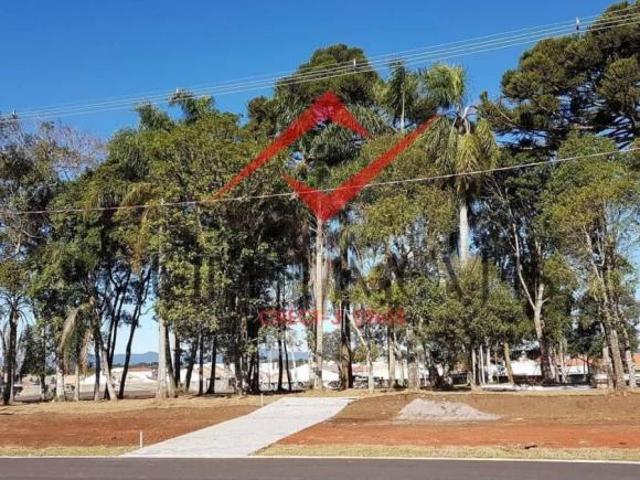 Sobrado Campo Largo da Roseira