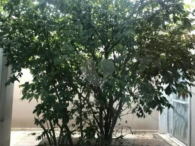 Sobrado com 4 quartos à venda ou para locação em Bela aliança SP