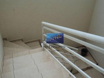 Sobrado com 3 dormitórios à venda por R$ 915.000,00 Vila Guilhermina São Paulo/SP