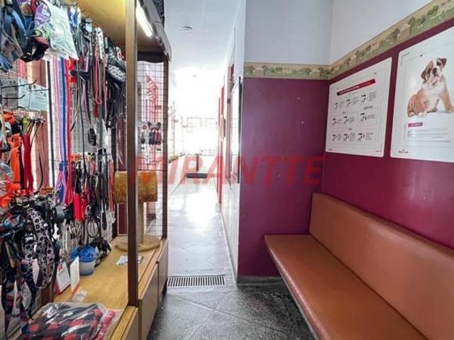 Sobrado de 282m² com 6 quartos