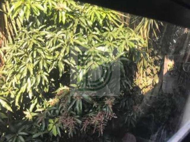 Sobrado em rua sem saída, com terreno de 368 mts no Jd Bonfiglioli