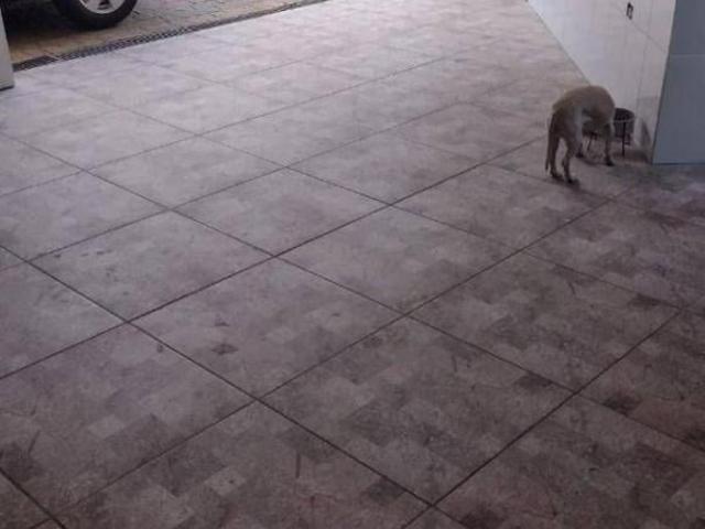 Sobrado em Vila Nova Mazzei, São Paulo/SP de 0m² 3 quartos à venda por R$ 600.000,00