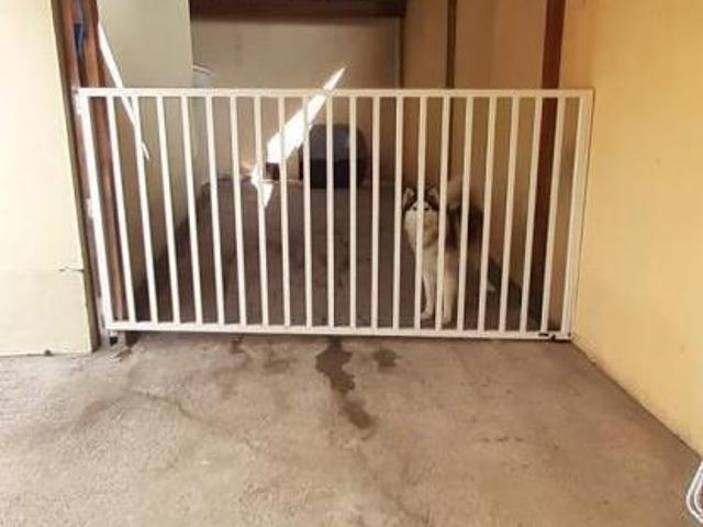 Sobrado para venda em Vila Curuçá de 110.00m² com 3 Quartos e 6 Garagens