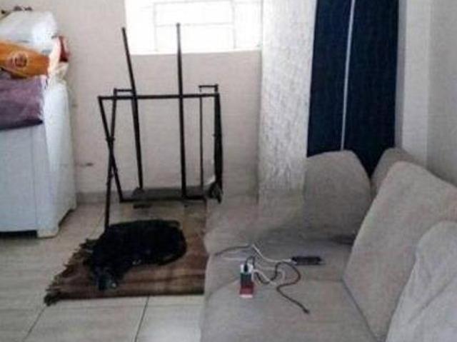 Sobrado Residencial/Comercial à venda na Vila Floresta, em Santo André, com 250m² de área total