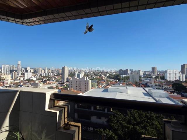 Sobre apartamento com 210 m² em Sorocaba SP