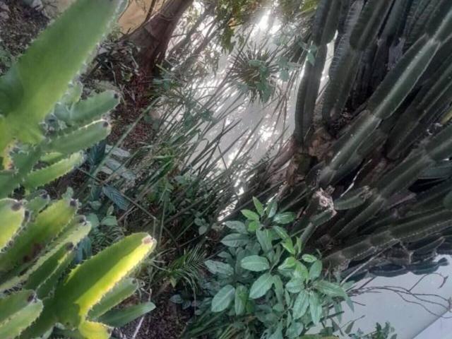 Sobre casa para alugar ou à venda em São Paulo SP