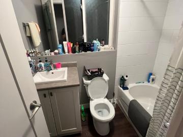 Sofia Malan Has an Apartment