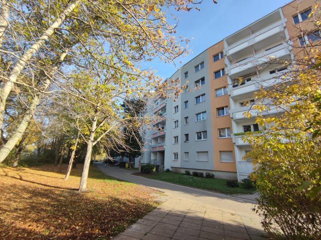 Einbauküche bestellt * Dusche * Weitblick * Südpark
