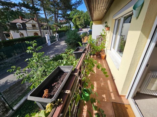 Sofort einziehen & wohlfühlen: Komplett möbliertes Reihenhaus mit Parkplatz, Balkon, Kaminofen, Kabelplus Anschluss und Süd Garten mit eigenem Obst und Nussbestand in der kulturreichen Hinterbrühl!