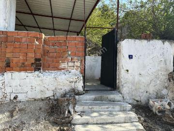 Pamukçular - Kisir Yolu, Söke, Aydın ili, Ege Bölgesi