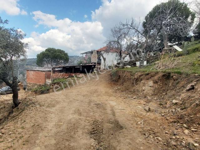 Söke Kaykıllı Köyün De 4.893 M² Arsa İçinde Müstakil Ev