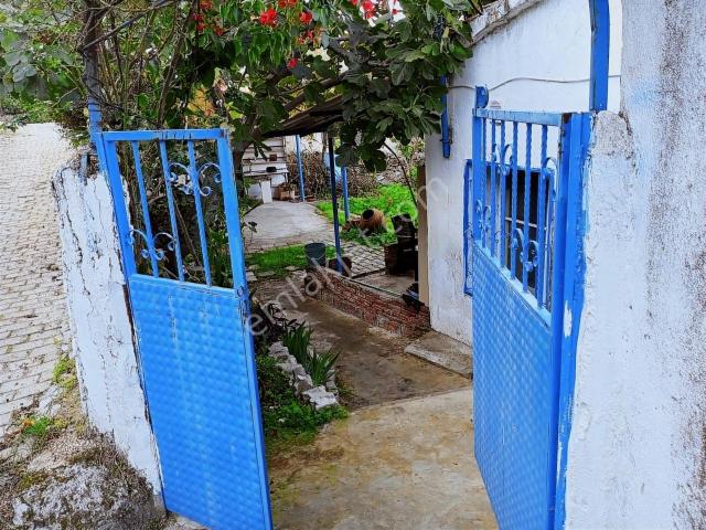 Söke Yeşilköy De Satılık Müstakil Köy Evi
