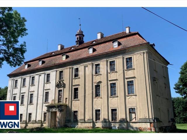 Zabytkowy pałac barokowy z XVII w. z parkiem i gruntami