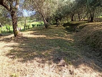 Soluzione Indipendente in affitto a Capannori, case in affitto Capannori