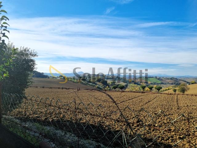 Soluzione Indipendente in affitto a Filottrano, case in affitto Filottrano