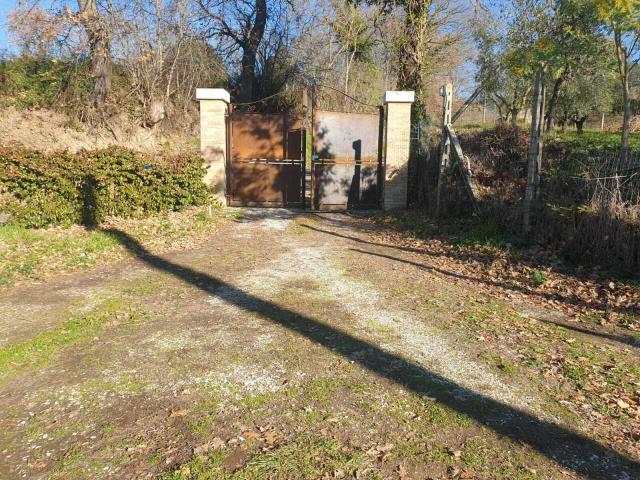 Soluzione Semindipendente in affitto a Lugnano in Teverina, case in affitto Lugnano in Teverina
