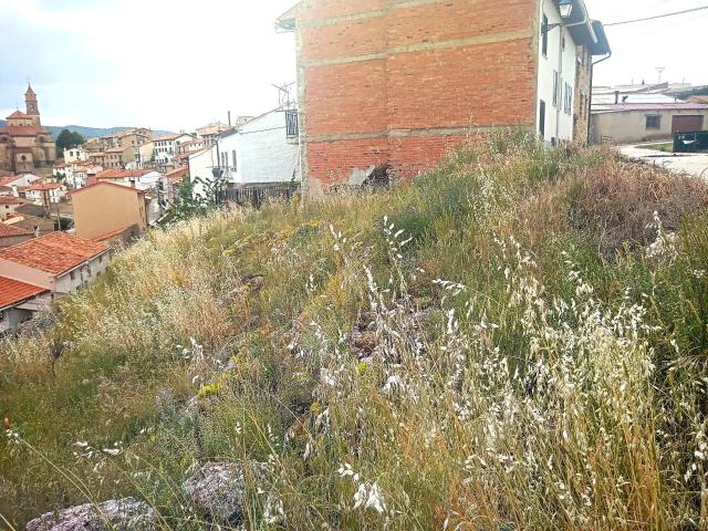 Solar urbano en venta. ORIHUELA DEL TREMEDAL
