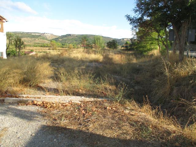Solar urbano en venta. RUBIELOS DE MORA