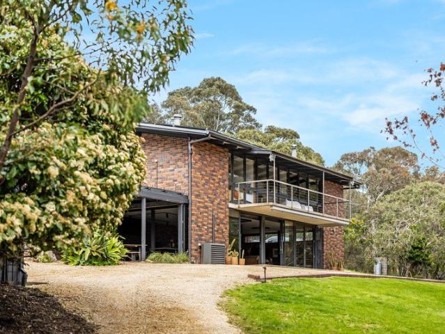 Solar Fed Food for the Soul An Urban Redesign of Family Freedom on 10 Bushland Acres