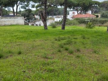 Plaza de Andalucía, Chiclana De La Frontera, Centro de Chiclana de la Frontera, Los Gallos, Cádiz, Andalucía, Andalucía