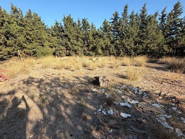 Finca/Casa Rural en venta en Pago del Humo, Cádiz Costa de la Luz