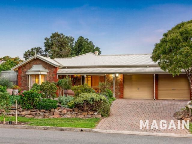SOLD BY DAVID HAMS