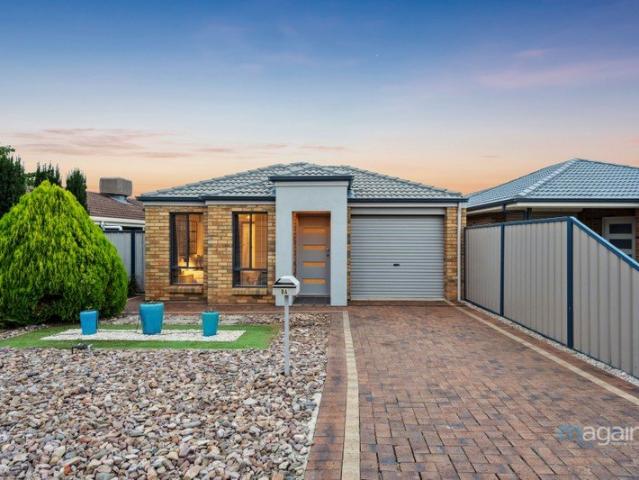 SOLD BY DAVID HAMS