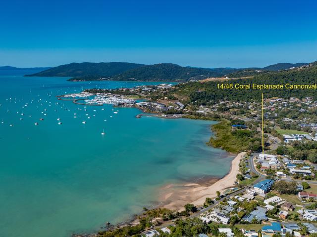 SOLD by Paul Skinner