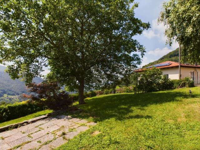 SOLEGGIATA CON AMPIO GIARDINO