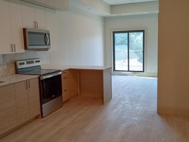 Solete Apartments Barrier Free 1 Bedroom plus Den Apartment for Rent