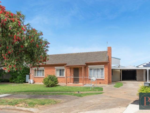 Solid Brick Character, Generous Land & Endless Potential