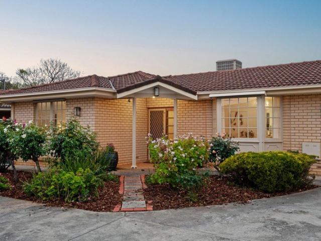 Solid Brick Charm in Payneham's Cosmopolitan Prime