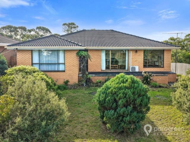 Solid Brick Home on a Generous 2,045m² Block